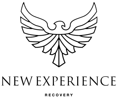 New Experience Logo
