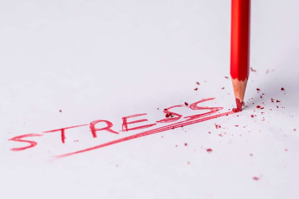 Discover Keys to Effective Stress Management and Relief